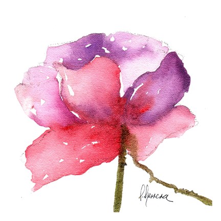 Framed Paragon in Pink Print