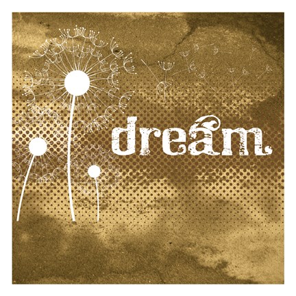 Framed Sand Dollar Dream Print