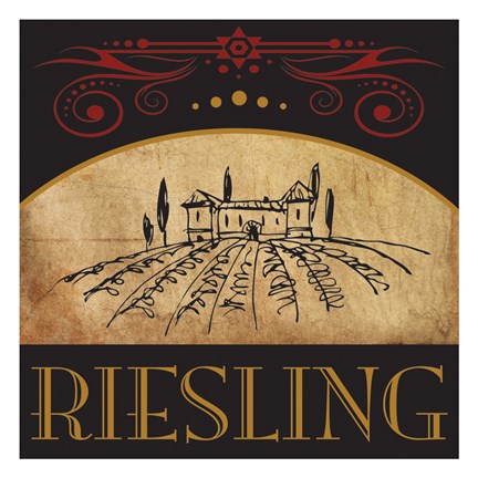 Framed Vinyard Wine 4 Print