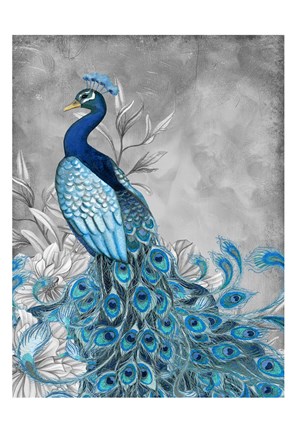 Framed Peacock Beauty 1 Print