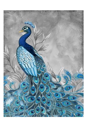 Framed Peacock Botanical  1 Print