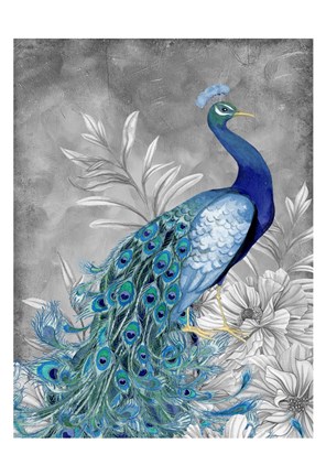Framed Peacock Beauty 2 Print