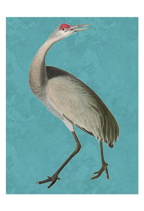 Framed Tall Bird 2 Print