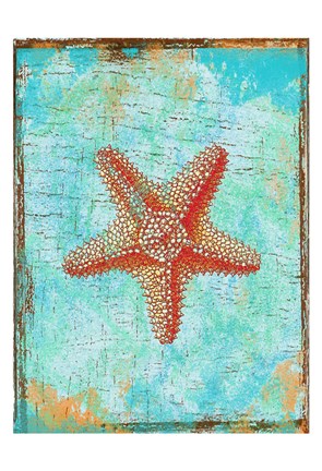 Framed Tropical Star Print