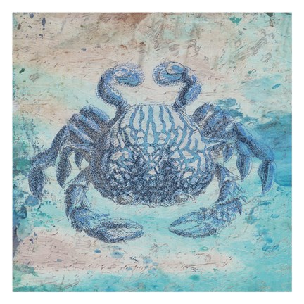 Framed Sea Crab Print