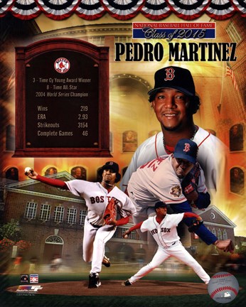Framed Pedro Martinez MLB Hall of Fame Legends Composite Print