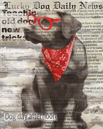 Framed Lucky Dog Print