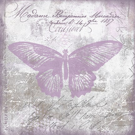 Framed Vintage Butterfly I Mauve Print