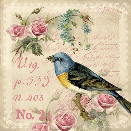 Framed Vintage Bird Print