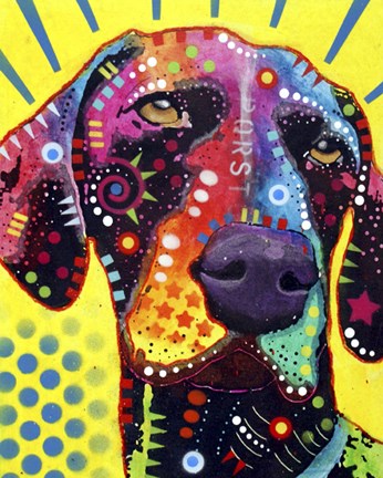 Framed German Short Hair Pointer Print