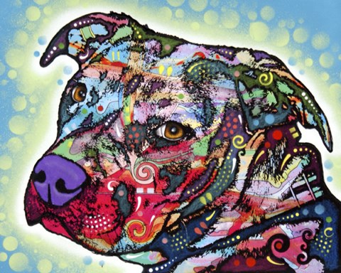 Framed Bulls Eye Print