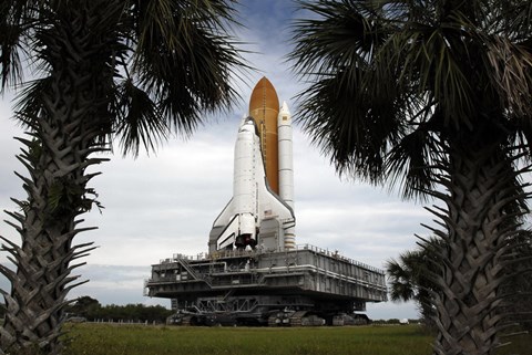 Framed Palmetto Trees Frame Space Shuttle Endeavour as it Rolls Toward the Launch Pad Print