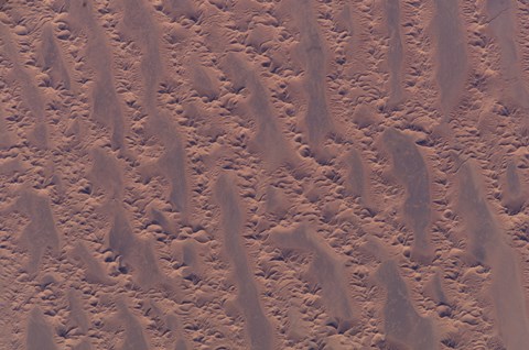 Framed Algerian Desert Print