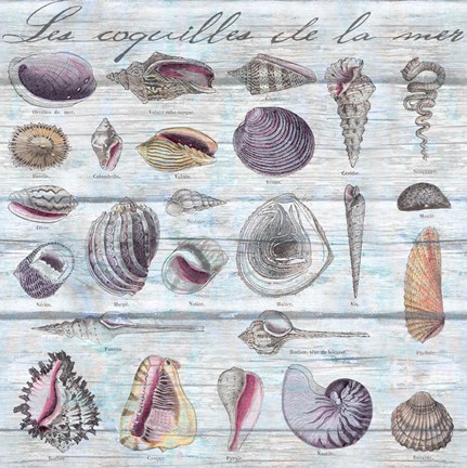 Framed Les Coquilles Pattern Wood Print