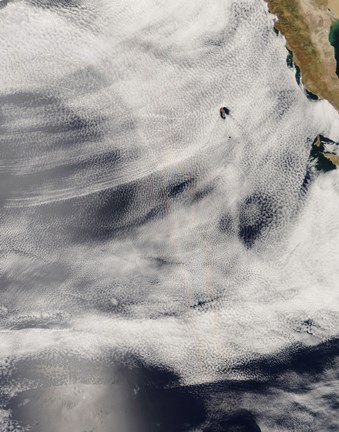 Framed Guadalupe Island, off the Coast of Mexico&#39;s Baja Peninsula Print