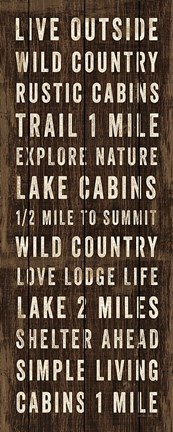 Framed Simple Living Panel I Print