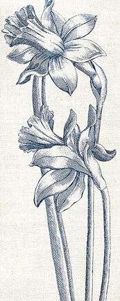 Framed Eden II  Indigo and White Print