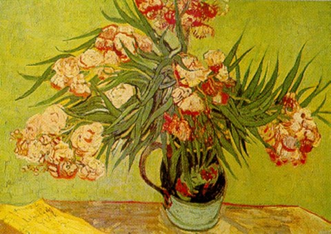 Framed Vases de fleurs Print