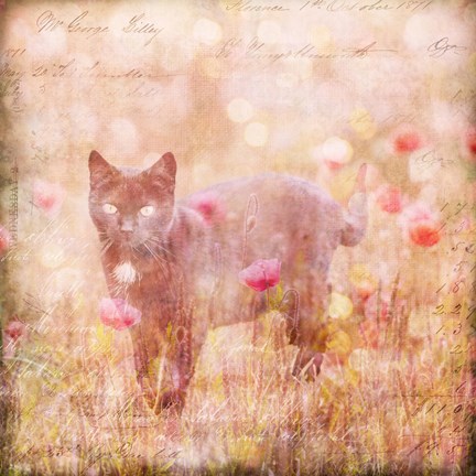 Framed Romantic Cat Print