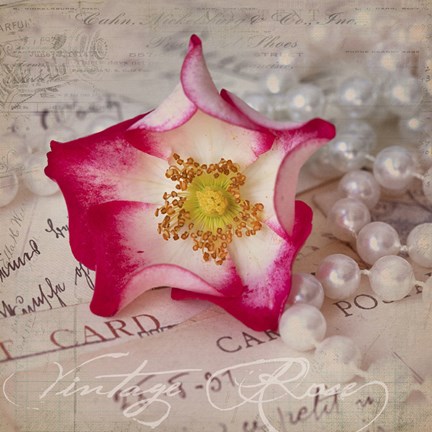 Framed Rose Romance III Print