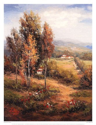 Framed Valle Salerno Print