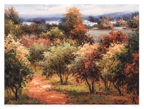 Framed Sun Dappled Country Road Print