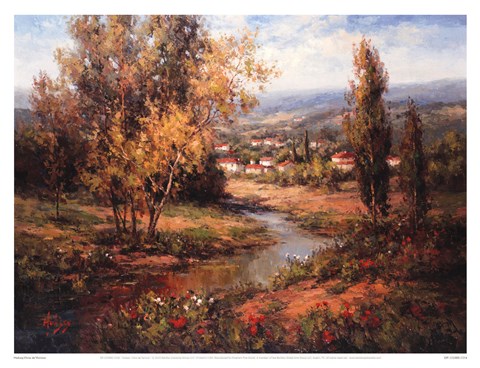 Framed Vista de Verona Print