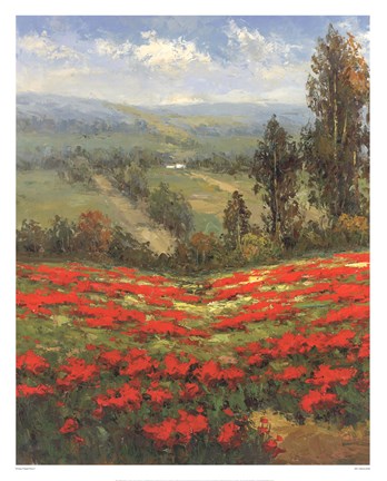 Framed Poppy Vista II Print