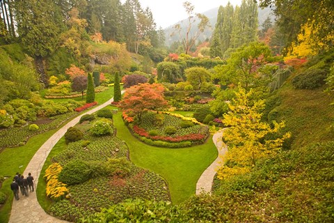 Framed Sunken Garden, Butchart Gardens, Victoria, BC Print