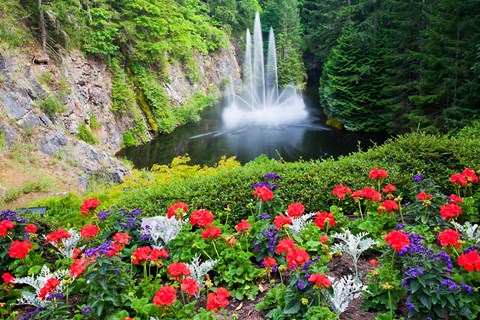 Framed Butchart Gardens Water Fall, Victoria, British Columbia, Canada Print