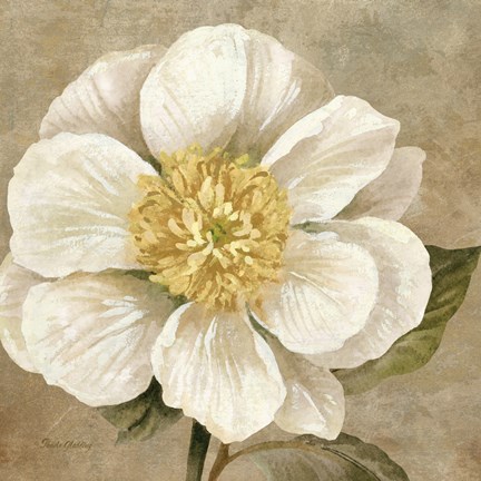 Framed Up Close Cream Rose Print