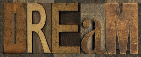 Framed Printers Block Sentiment Panel III  Dream Print