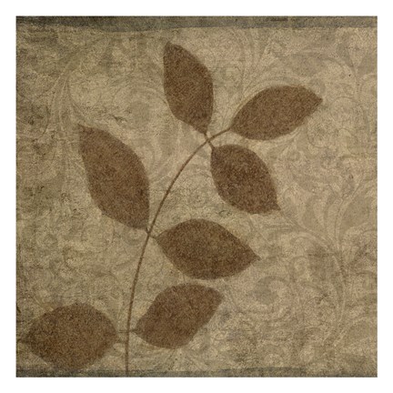 Framed Vintage Leaves 3 Print