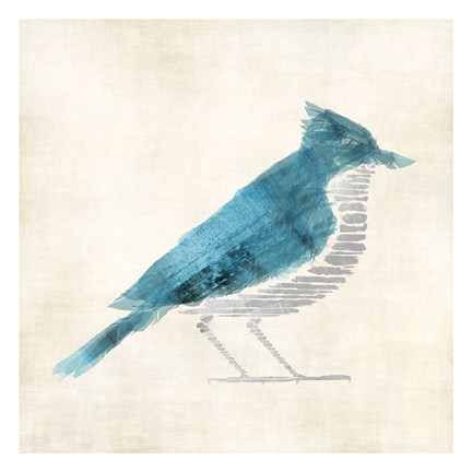 Framed Birds Of A Feather Print