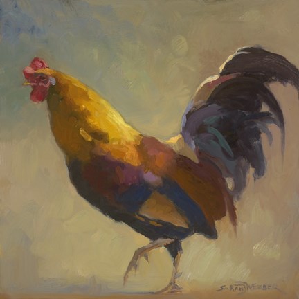 Framed Fancy Dancer Print