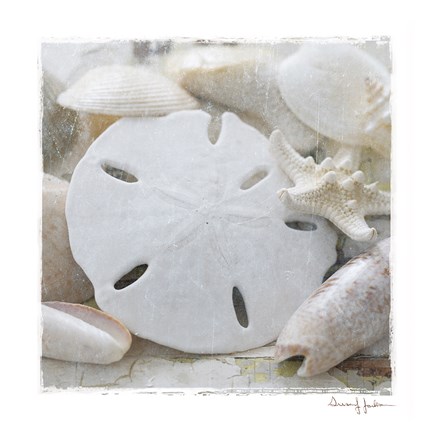 Framed Sanibel IV Print