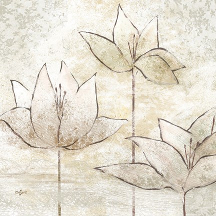 Framed Floral Sketch II Print