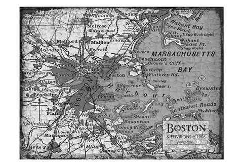 Framed Environs Boston Gray Print
