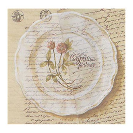 Framed Assiette, Tripolium pratence Print