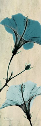 Framed Hibiscus 1 Print