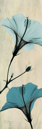 Framed Hibiscus 2 Print