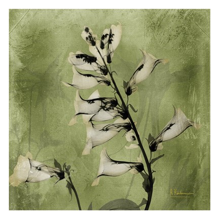 Framed Golden Foxglove 7 Print