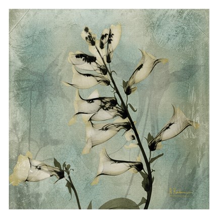 Framed Golden Foxglove 9 Print