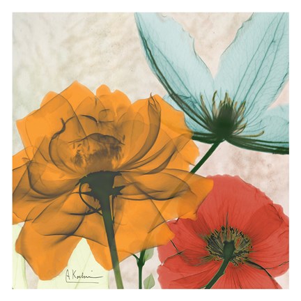 Framed New Avalon I Print