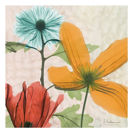 Framed New Avalon II Print