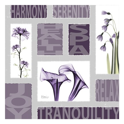 Framed Mondrian Blackberry 1 Print