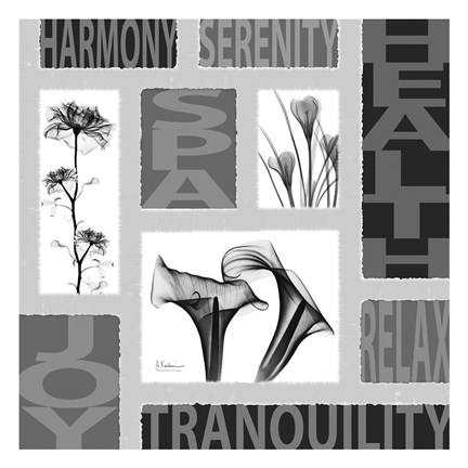 Framed Mondrian Black White 1 Print