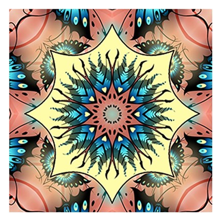 Framed Kaleidoscopic Print