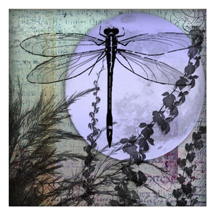 Framed Dragonfly By Night I Print