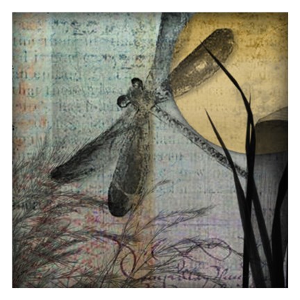 Framed Dragonfly By Night III Print